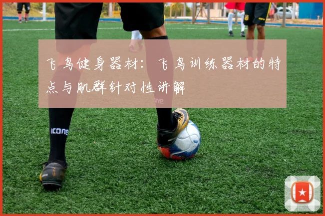 飞鸟健身器材：飞鸟训练器材的特点与肌群针对性讲解